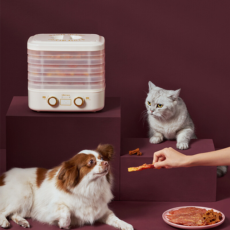 10L Fruit Dehydrator 5 Layer Household Vegetable Herb Meat Drying Machine Snacks Small Food Dryer Good Package Air Dryer